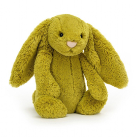 Bashful Bunny zingy