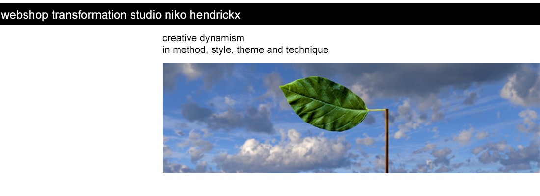 transformation-studio-niko-hendrickx