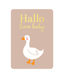 Hallo lieve baby