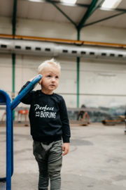 PERFECT IS BORING - sweater