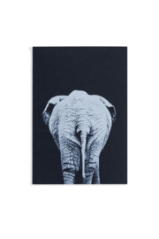 Notebook Into the wild | Olifant