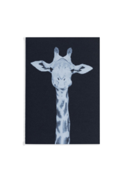 Notebook Into the wild | Giraffe