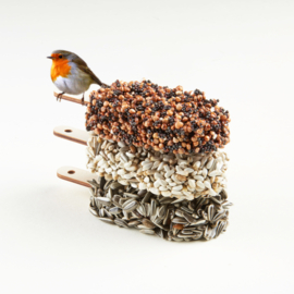 Desserts for Birds | Delicious Red
