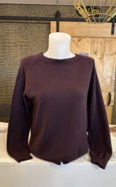 Musthave fijn gebreid truitje aubergine