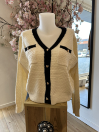 Gebreid vest Moewy