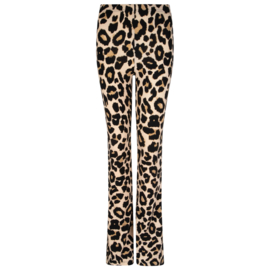 Ambika Elin beige leopard flared broek