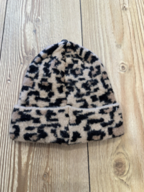 Muts leopard camel