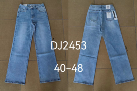 Goodies  wide leg jeans DJ2453