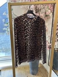 Ambika  Carlise taupe  leopard bruin print  top