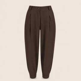 IZ NAIZ broek 3841 bruin