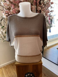 Gehaakte top met streep detail en lurex - beige