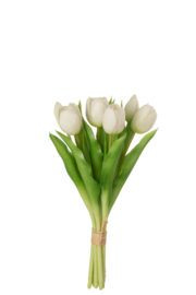 Boeket tulpen wit