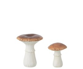 Duo paddenstoel S en M