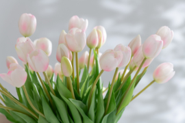 Boeket tulpen roze