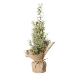 Mini kerstboompje