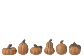 Set pompoenen porselein