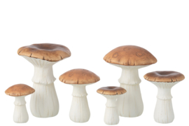Set paddenstoelen M