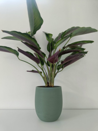 Bloempot 'Odiel'
