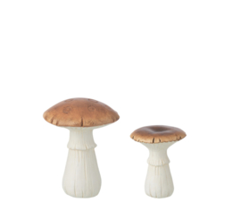 Duo paddenstoel S en M