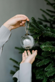 Kerstbal feather