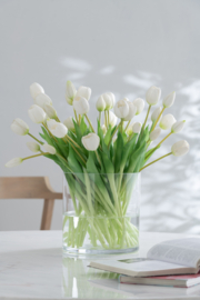 Boeket tulpen wit