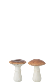 Set paddenstoelen M