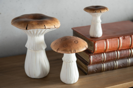 Set paddenstoelen M