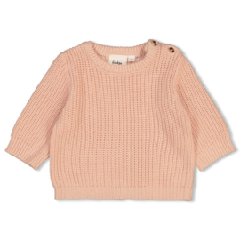 Feetje Sweater gebreid