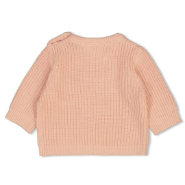 Feetje Sweater gebreid
