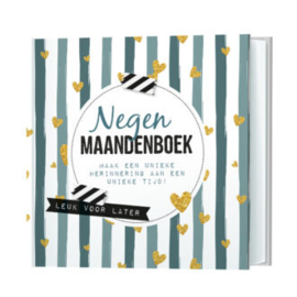 Negenmaandenboek