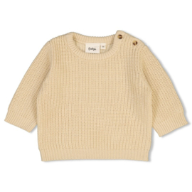 Feetje Sweater gebreid