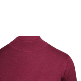 BASIC TURTLE TRUI BORDEAUX