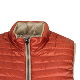 BODYWARMER BRIQUE BEIGE ACCENTEN