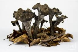 Trompette du Morte  per 250 gram