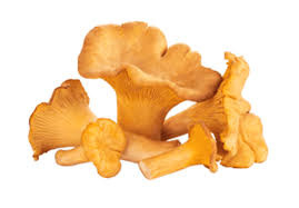 Cantharellen per 250 gram