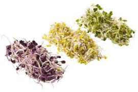 kiem trio mix 60 gram