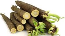 schorseneren (per kg te bestellen)