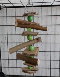 Knaagslinger klein groen