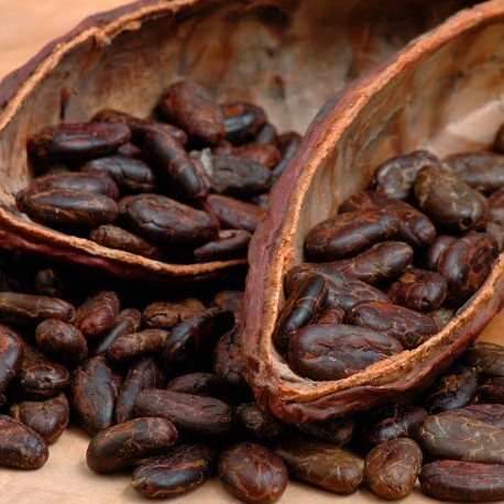cacao.jpg