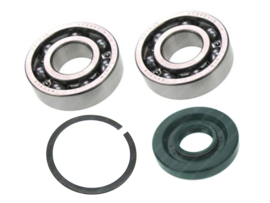 Bearing / Seal set Main Gear 4 Bearing Puch Maxi e50