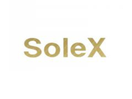 Sticker Solex Goud 62mm x 15mm Solex