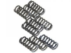 Clutch Spring set Race Newfren A-Qaulity! Sachs