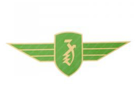 Sticker Front Fender 70mm x 27mm Green - Gold Zündapp 517