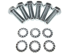 Bouten set Achtertandwiel 10-Delig Puch Maxi Z50
