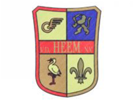 Sticker Steering head 30mm x 40mm OT Solex Van der Heem