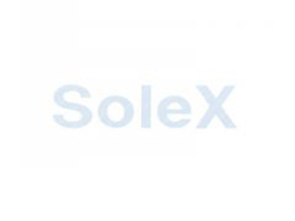 Sticker Solex Wit 62mm x 15mm Solex