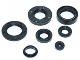 Seal set Complete Reedvalve intake model Yamaha FS1