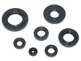 Seal set Complete Rotating Intake - Oil pump A-Quality! Yamaha FS1