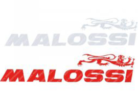 Sticker set Large 250mm 2-Pieces Malossi