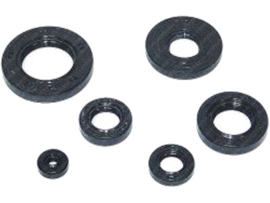 Seal set Complete Rotating Intake A-Quality! Yamaha FS1
